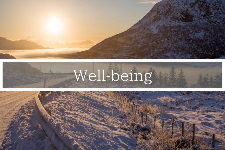 Well-being 